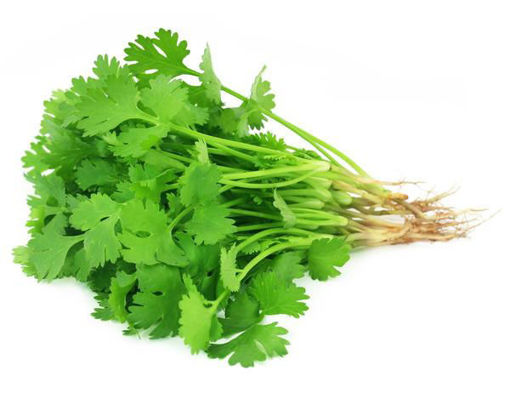 Picture of Coriander / Kottamalli / Kottimīra / dhaniya (1 Bunch £0.99 /  2 Bunches £1.89 )